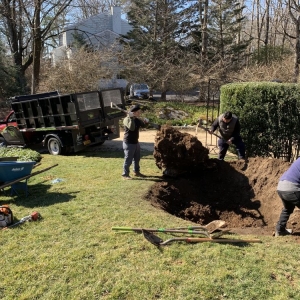 Photo of Raul Martinez Landscaping