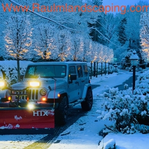 Photo of Raul Martinez Landscaping