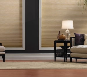 Photo of Great Blinds