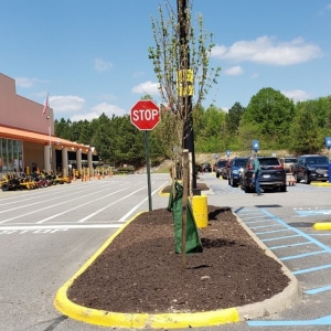 Mechanicsville Us Landscapes