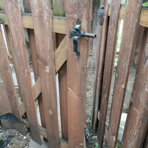 Photo of Keep Austin Landscaped