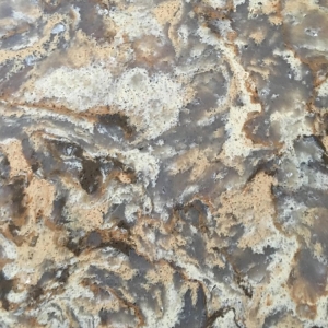 Photo of Dorado Soapstone
