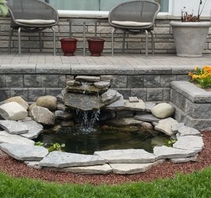 Photo of Synergy Lawnscape