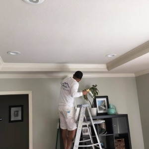 Photo of Pro Brush Painting