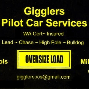 Photo of Giggler's PCS, llc