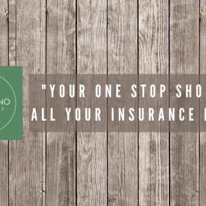 Houston Americano Insurance