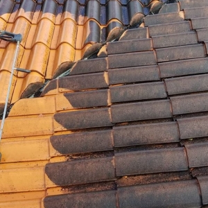 Photo of Gables Pressure Cleaning & Painting