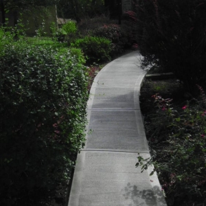 Photo of City Wide Asphalt & Construction