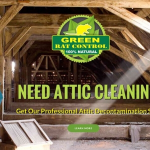 Photo of Green Rat Control