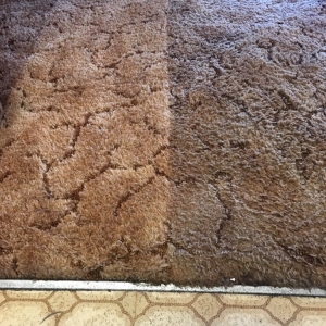 Photo of Mean Green Carpet Cleaners