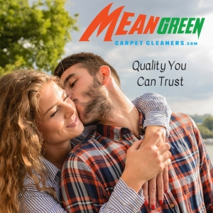 Photo of Mean Green Carpet Cleaners
