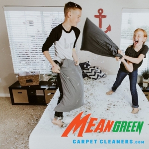 Photo of Mean Green Carpet Cleaners