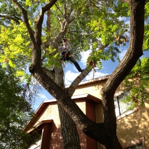 Photo of Kimball Property Maintenance