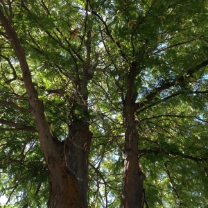 Photo of Kimball Property Maintenance