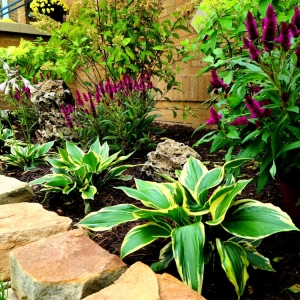 Photo of Certified VIP Landscaping