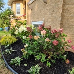 Photo of Certified VIP Landscaping