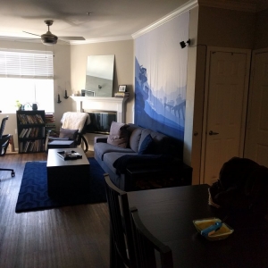 Photo of C&H Cleaning & Handyman Services
