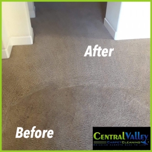 Photo of Central Valley Floor Care and Restoration