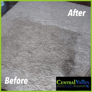Photo of Central Valley Floor Care and Restoration