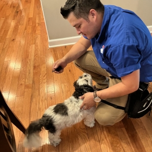 Pingree Grove Heaven's Best Carpet Cleaning