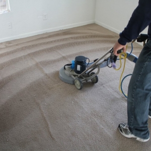 Photo of All Action Water Extraction and Carpet Cleaning