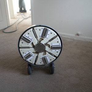 Photo of All Action Water Extraction and Carpet Cleaning