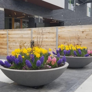 Photo of Precision Landscape Service