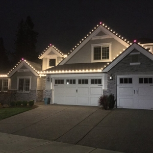 Photo of Troy, The Christmas Light Guy