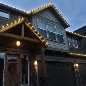 Photo of Troy, The Christmas Light Guy