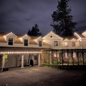 Photo of Troy, The Christmas Light Guy