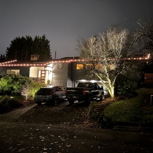 Photo of Troy, The Christmas Light Guy