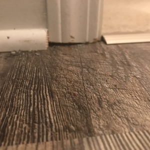 Photo of Professional Home Improvement