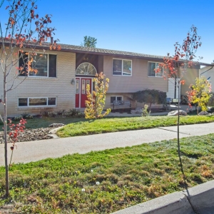 Photo of Blue Door Realty - Presidio
