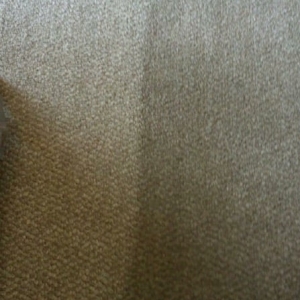Photo of Eco Clean