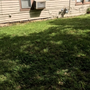 Photo of Brother Lawn Care & Landscaping