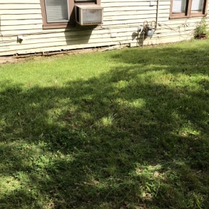 Photo of Brother Lawn Care & Landscaping
