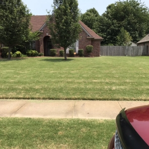 Photo of Brother Lawn Care & Landscaping