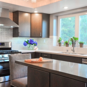 San Diego EcoLux Interiors