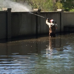 Photo of West TN Power Washing