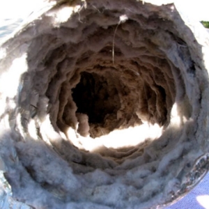 Photo of South Florida Chimney Services