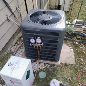 Florissant JDP Services