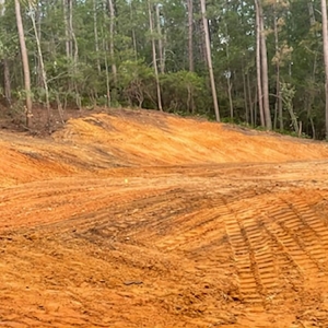 Photo of Lane Clearing and Grading
