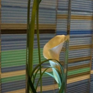 Photo of Soderberg's Floral & Gift