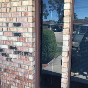Photo of Star Glass