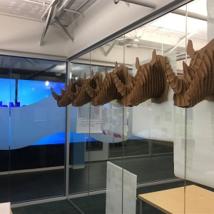Photo of RhinoDox