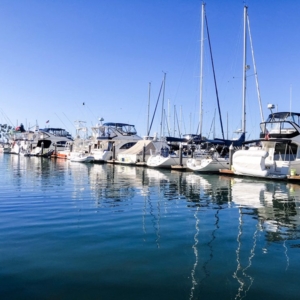 Photo of Nauti Boat Services