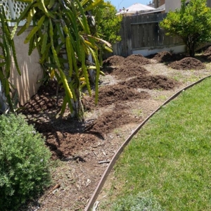 Photo of Expo Landscaping