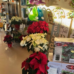 Photo of Full Features Landscape & Garden Center