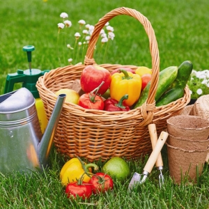 Photo of Full Features Landscape & Garden Center