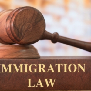 Salinas Zarazua Blanca Attorney At Law